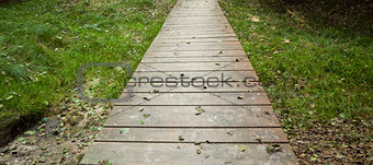Wooden walkway along grassland