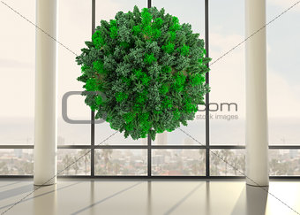 Green natural ball floating in front of windows