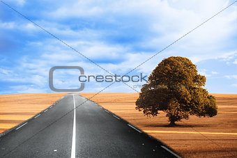 Cloudy brown landscape with street
