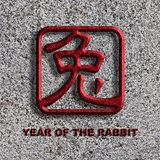 Chinese Rabbit Symbol Stone Background Illustration