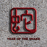 Chinese Snake Symbol Stone Background Illustration