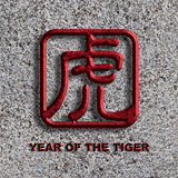 Chinese Tiger Symbol Stone Background Illustration