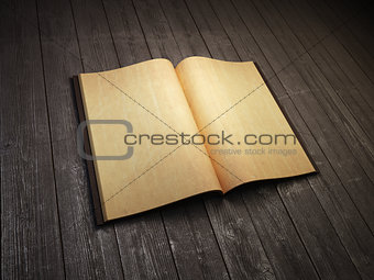 open blank old book