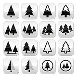 Pine tree vector buttons set