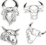 Aggressive bull heads