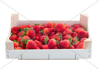 strawberry in crate