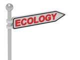 ECOLOGY arrow sign with letters 