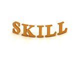 SKILL sign with orange letters 