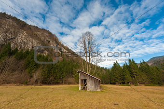 Meadow with barn and big tree