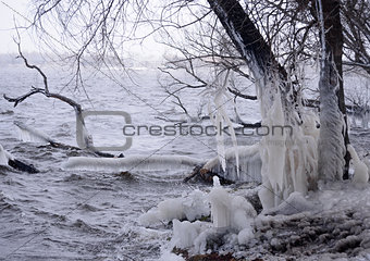 Beautiful Natural Ice Ornaments on the Trees