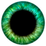 green iris