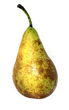 ripe sweet pear