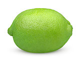 Single lime fruit