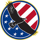 American Eagle Flying USA Flag Retro