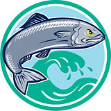 Sardine Fish Jumping Circle Retro