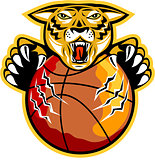 Tiger Basketball Ball Claws