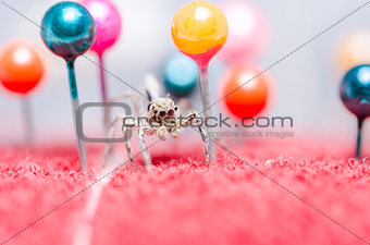 Spider and pins