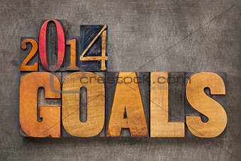 2014 goals in wood type