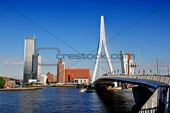 Rotterdam by the Bridge