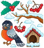 Winter bird theme collection 1