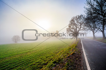 rural foggy road going to the sunrise