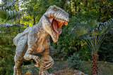 model of big tyranosaurus rex jungle