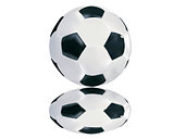 soccer ball with reflection