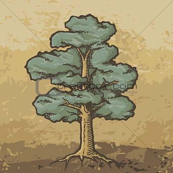 Oak tree sketch