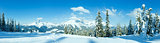 Winter mountain panorama with snowy trees (Filzmoos, Austria)
