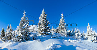 Morning winter mountain landscape (Carpathian, Ukraine).