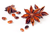 Star anise, star aniseed, or Chinese star anise