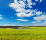 meadow with green grass and blue sky with clouds