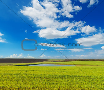 meadow with green grass and blue sky with clouds