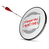 Achieving Financial Objectives Concept