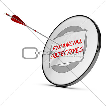 Achieving Financial Objectives Concept
