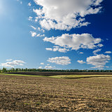 black ploughed field under deep blue sky with clouds