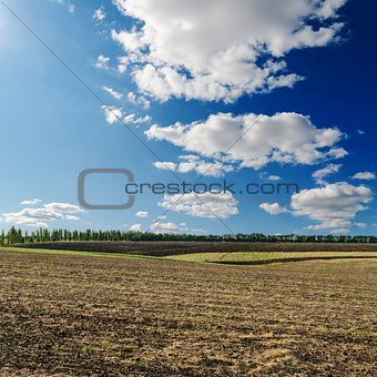 black ploughed field under deep blue sky with clouds