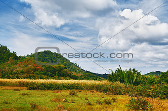 Thai Landscape