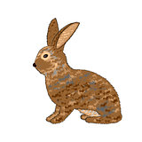 A sideview of a rabbit on a white background