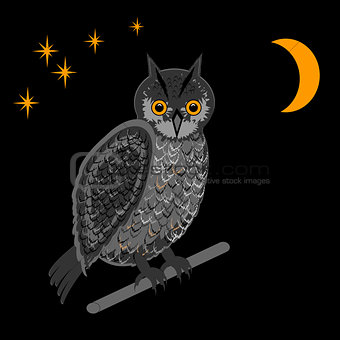 An owl in the nighttime