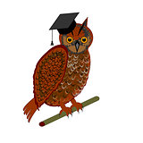 An owl wearing a graduation cap
