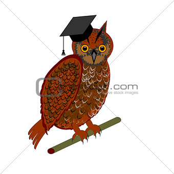An owl wearing a graduation cap