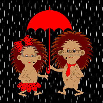 A couple of funny cartoon hedgehogs under red umbrella in the ra
