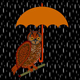 An owl with umbrella in the rain