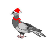 A Christmas dove on a white background