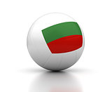 Bulgarian Volleyball Team