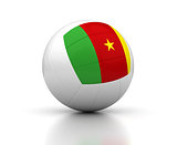 Cameroon Volleyball Team