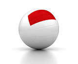 Indonesian Volleyball Team