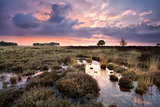 warm calm sunset over swamps in Drenthe