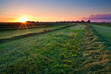 clipped hay on grassland at sunrise